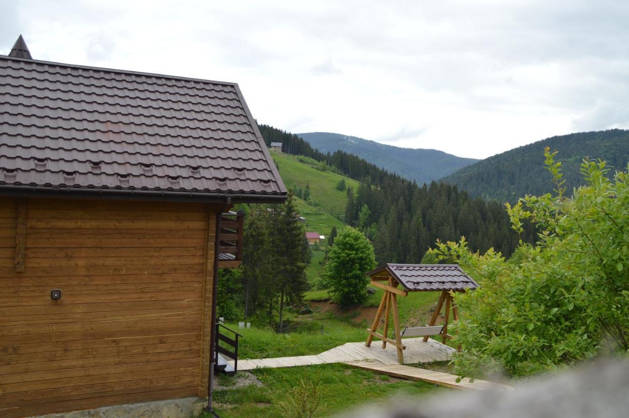 пагорб їжака / Hedgehog Hill * יבלוניצה