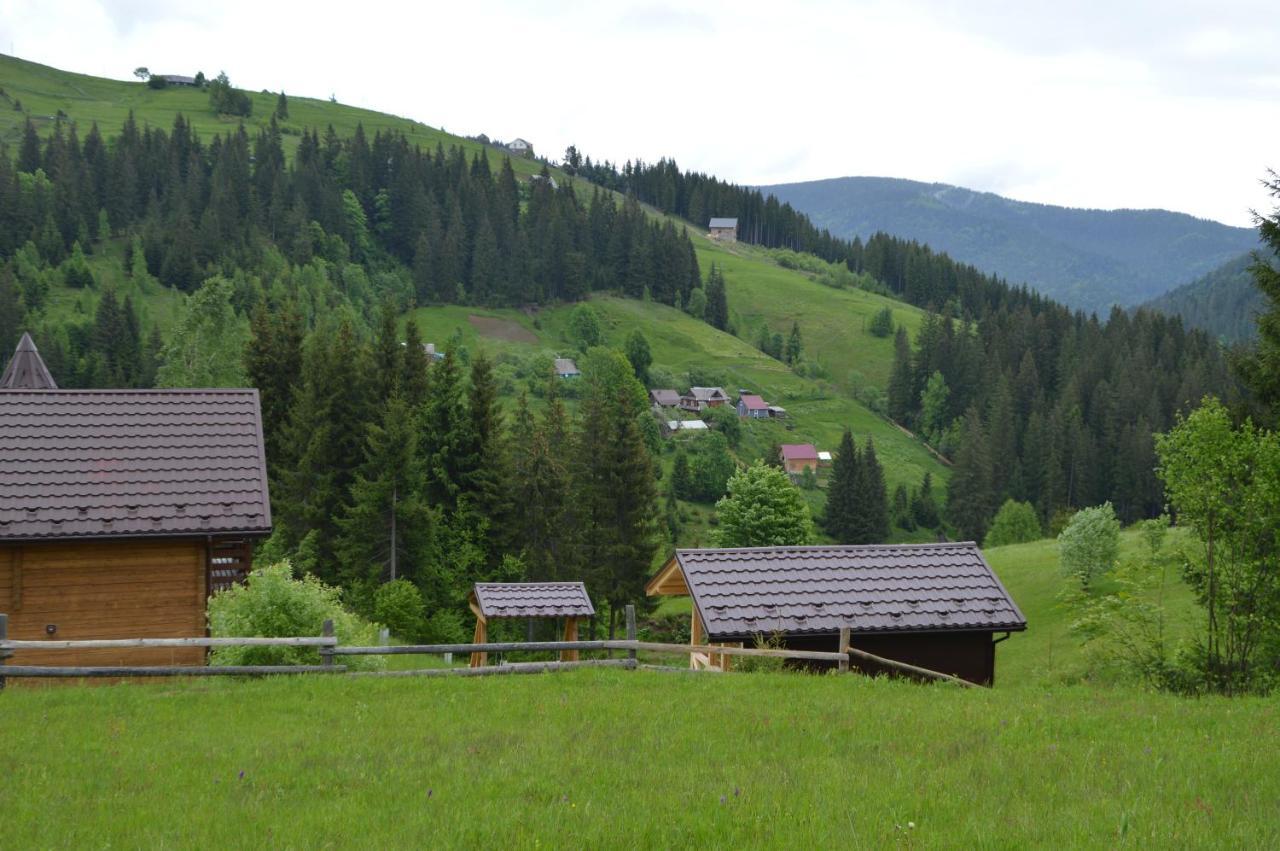 пагорб їжака / Hedgehog Hill בית נופש יבלוניצה